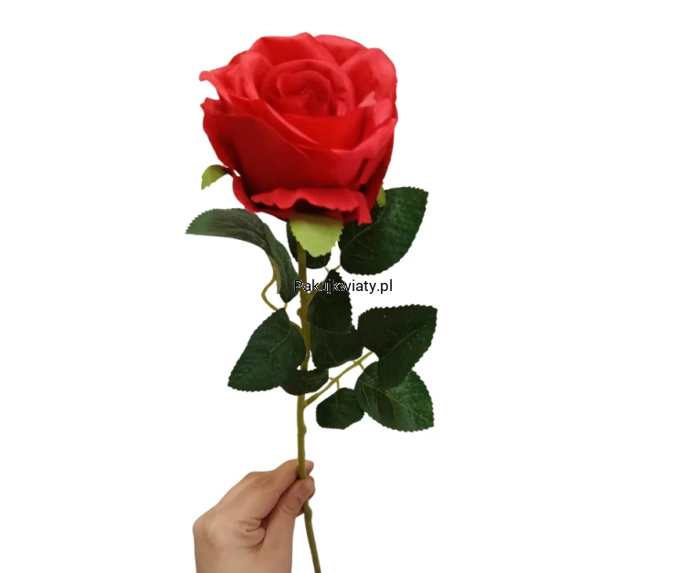 060aa05cfa09e56b00458e863539053d.png