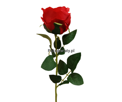 14f92c20ea7f4341a4077a7f91475f62.png