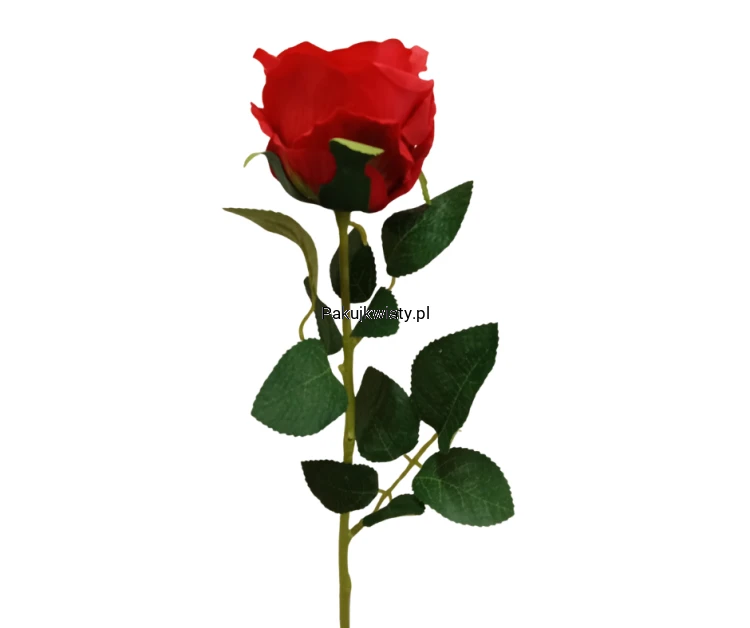14f92c20ea7f4341a4077a7f91475f62.png