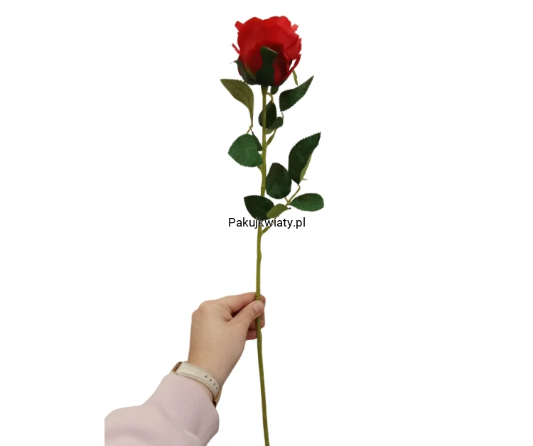 d682c9ef6850ca63ab79ca612d3291c7.png
