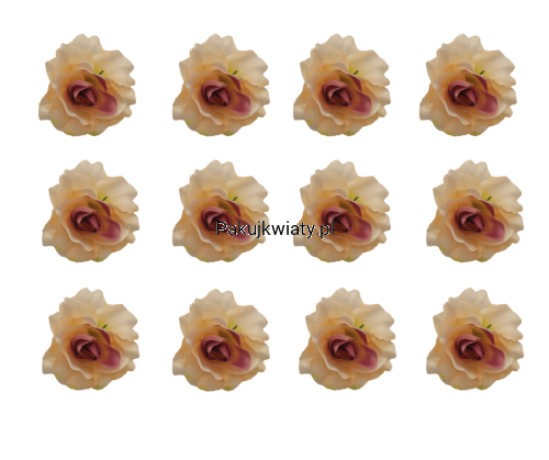ac1c95f65781316caa519bf3a99e3bce.png