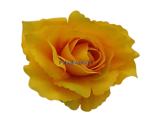 7bef5850ed42ccf9661b8ea58089bfc9.png