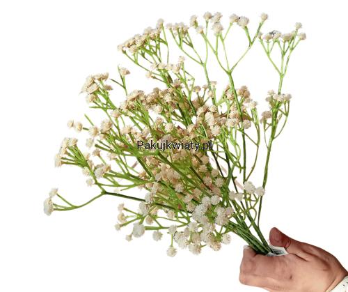 a7bca4d0c92b772c8007d69d83a4f710.png