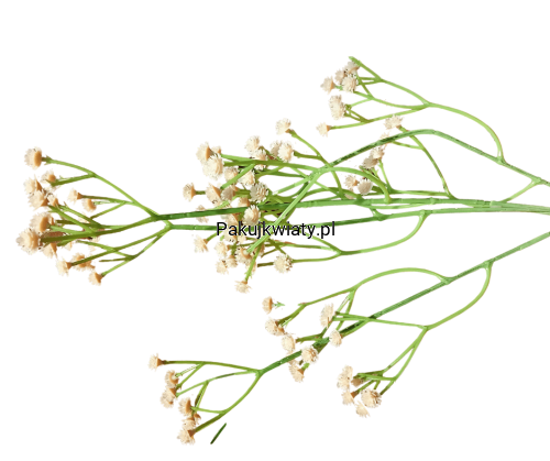 57c6c266d9d0bba6e07348e889cceb7e.png