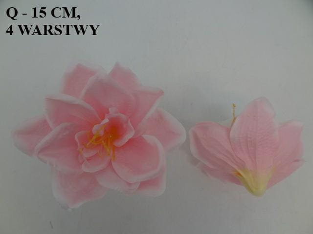 becc55d55cf72fdd9a71cf70f3a2afd9.jpg