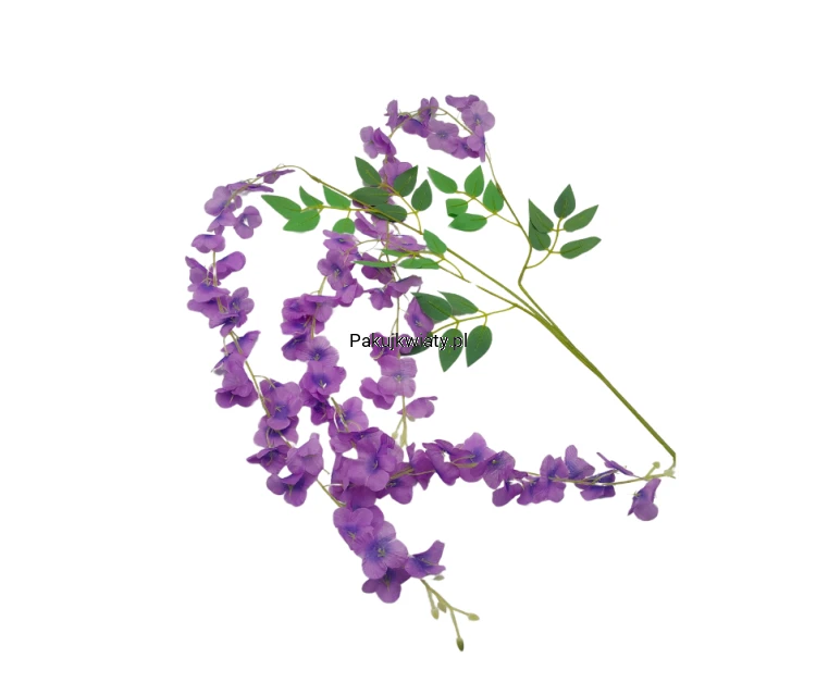 dac57682d07e4c584ff54853c22746f8.png