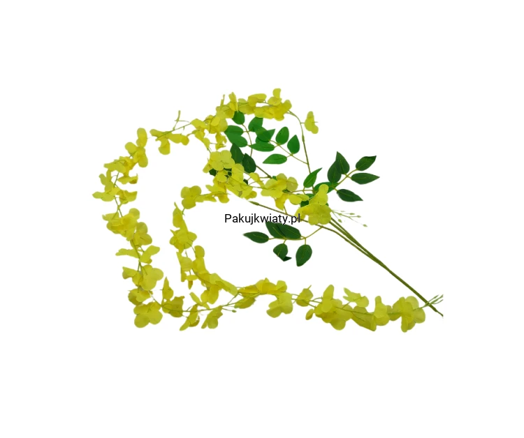 dd9694fe1429d8a0e3baf620b8e899ae.png