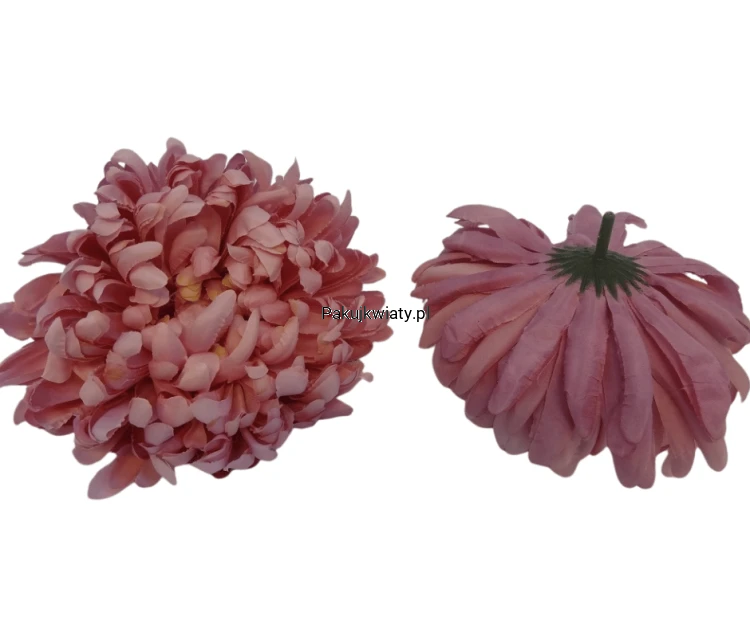 aca86d538203a1b4c35964edeba6d924.png