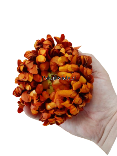 a8f7bbe7dc4147e2704b111e318415ca.png
