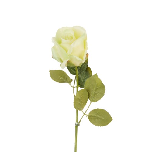 B08-031 Róża Gałązkowa KREM 47cm
