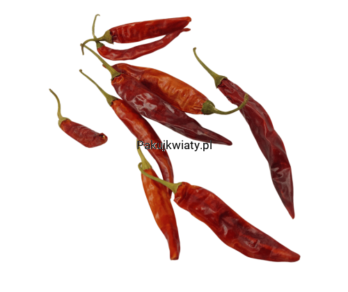 08f4697b53aad1e05f465f8bbf57c4e2.png