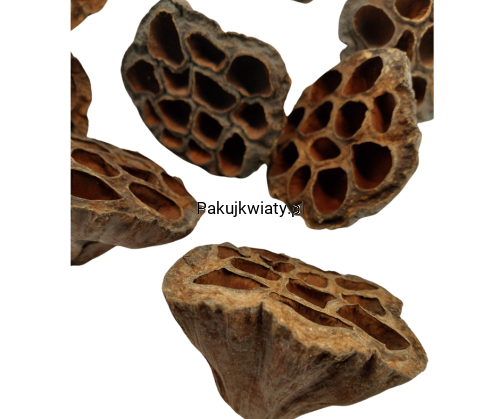 15645858aefacbd76d5edd645f9adc46.png