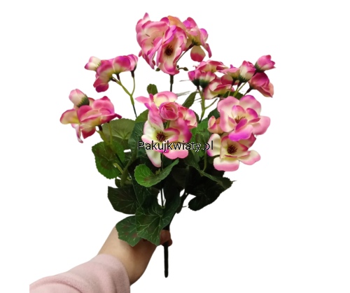 f7b6a754ce5cb8cb89ea33dbb8ddb597.png