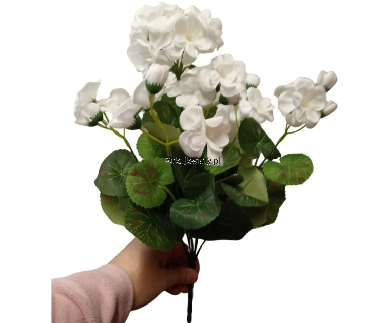 11a1907302bbb21ee5806f898e21822d.png