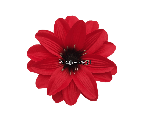 c50dcba78e8e54b61ff212cc7c6f3d23.png