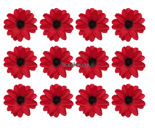 b43bde30e3a96f048667f30987eaea7f.png