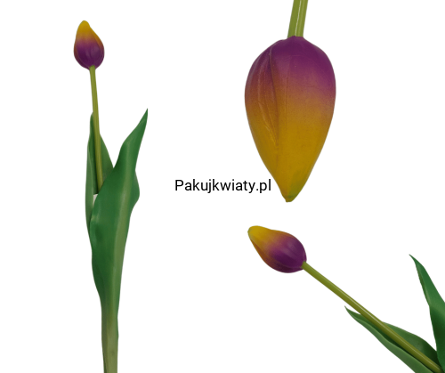fd85e3e6e2bc37157b7283b851ad62e9.png