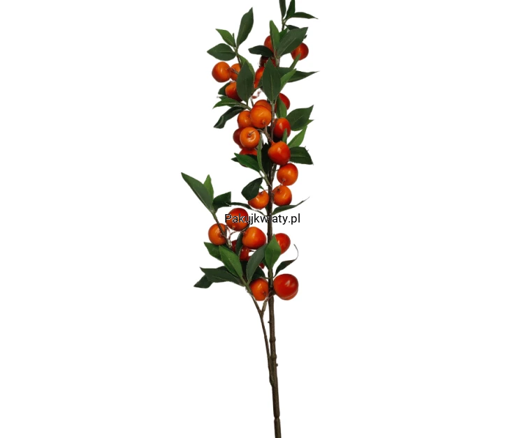 f6d27a8ef969b45fe8f481ce8f36474b.png