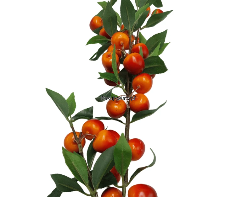 c08a8d005d3b19e45f5e7bd8a277be3c.png