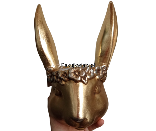 ef2903fa767a183f3cc8216dd148755a.png