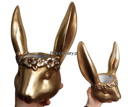 47c1750db15f3606dbf7cffe920a7471.png