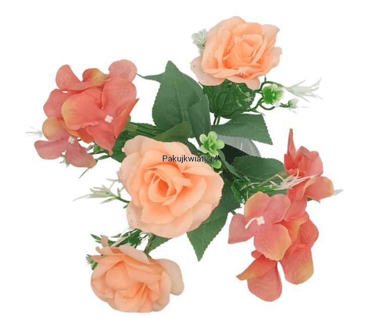a29677fdb264eece82eebc2127d412f6.png